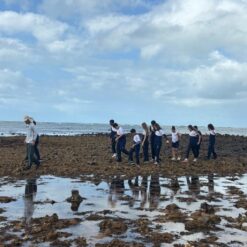 Ebmar 6° ao 9°ano 18/05/2026