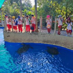 Projeto Tamar Ed Infantil  29/04/2026