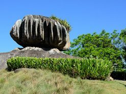PARQUE PEDRA DA CEBOLA 2° ano (22/09/2026)